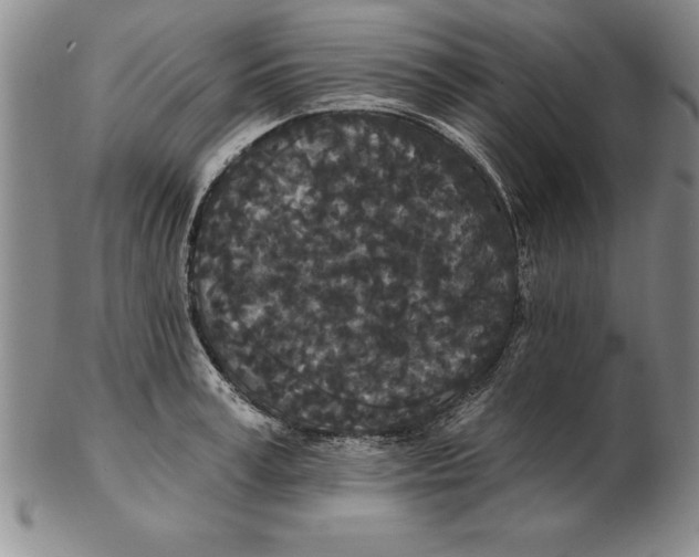 X0000102350995200808221650