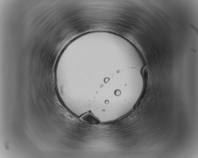 X0000102350996200808221650