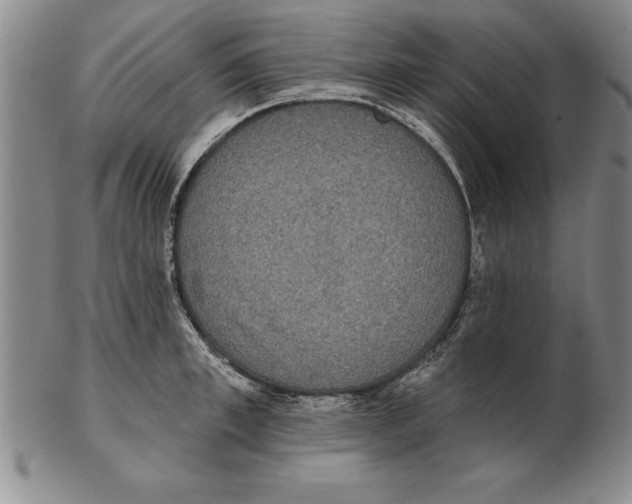 X0000102350997200808221650