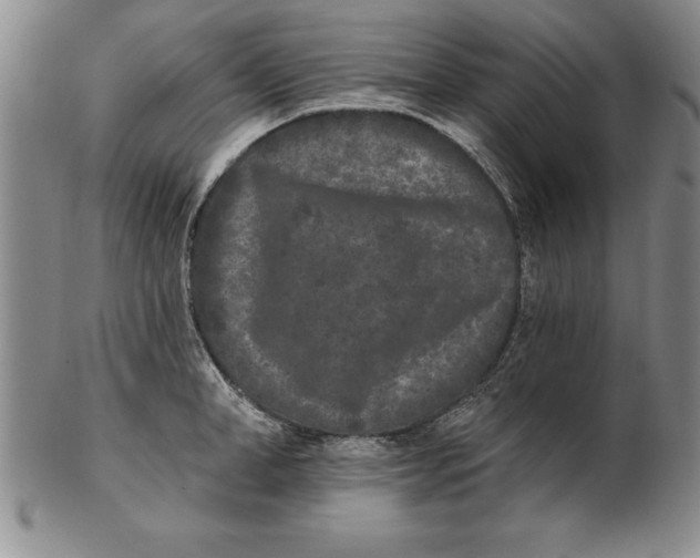 X0000102350998200808221650