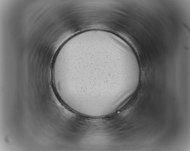 X0000102350999200808221650