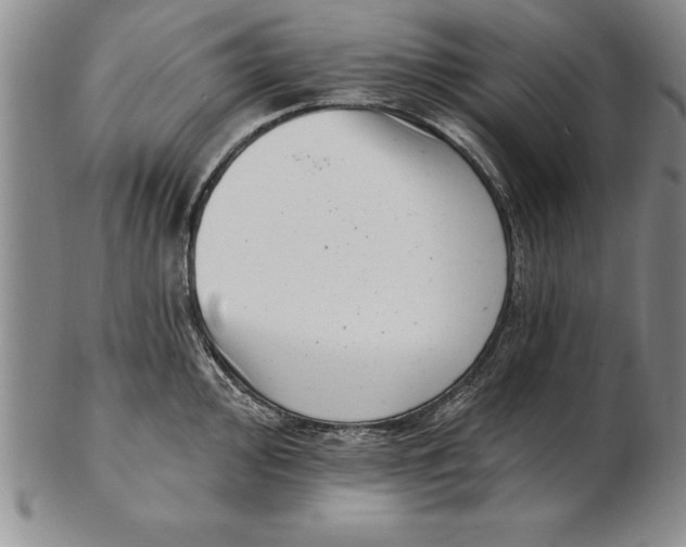 X0000102351000200808221650