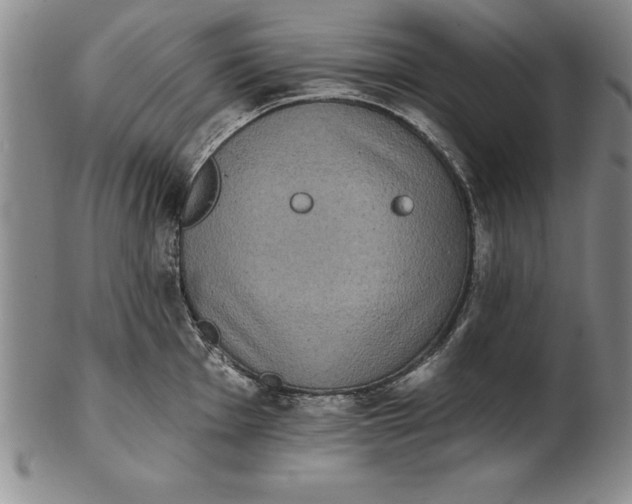 X0000102351001200808221650