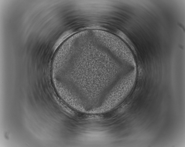 X0000102351002200808221650