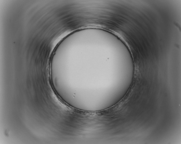 X0000102351003200808221650