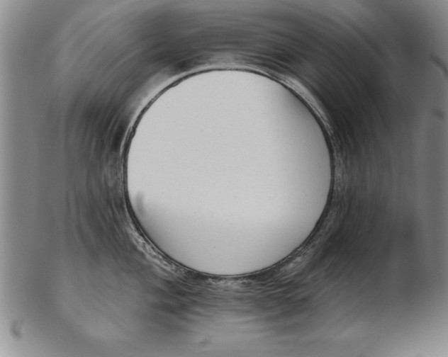 X0000102351004200808221650