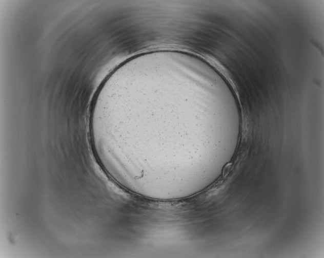 X0000102351005200808221649