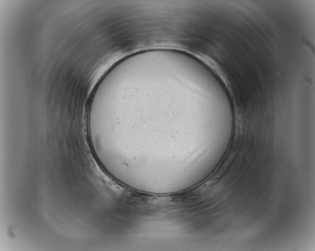 X0000102351006200808221649