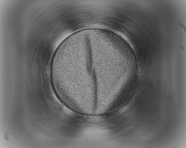 X0000102351007200808221649