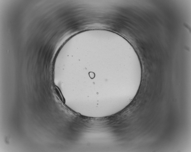 X0000102351008200808221649