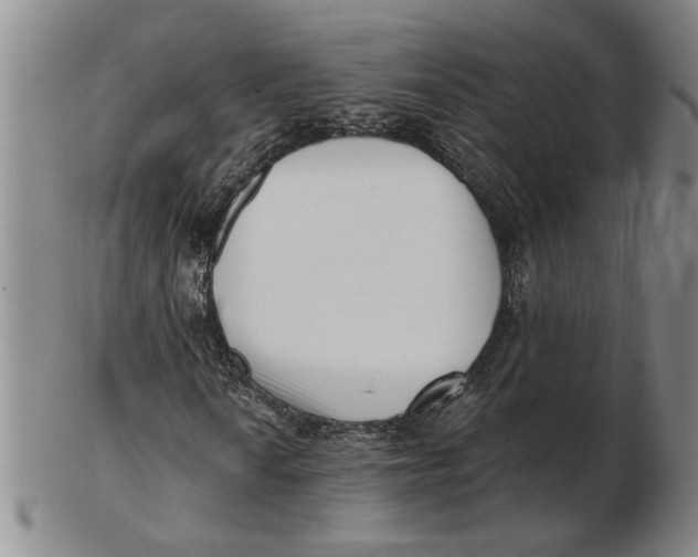 X0000102351010200808221649