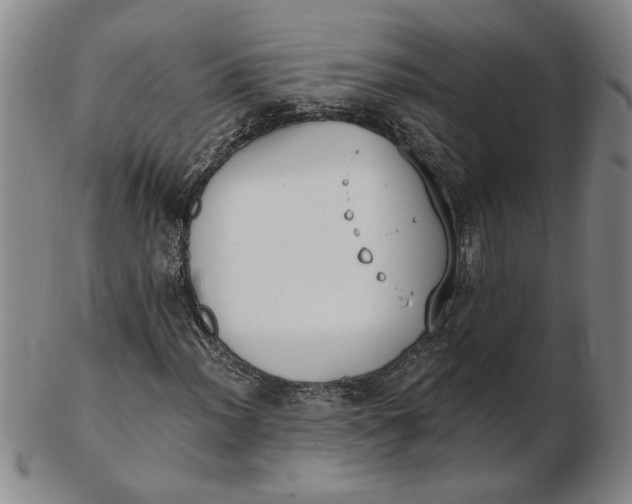 X0000102351012200808221649