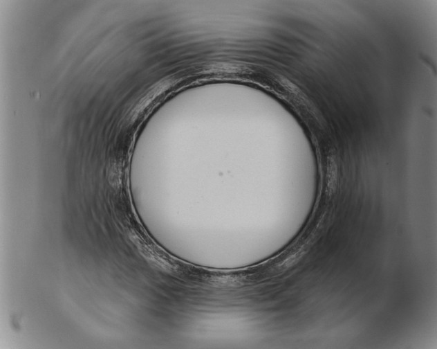 X0000102351017200808221649