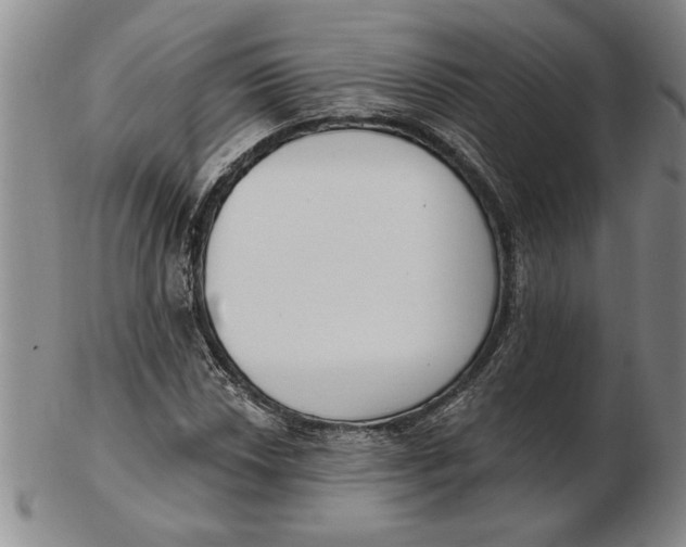 X0000102351018200808221649