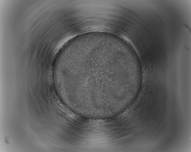 X0000102351019200808221649