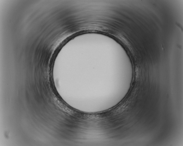 X0000102351020200808221649