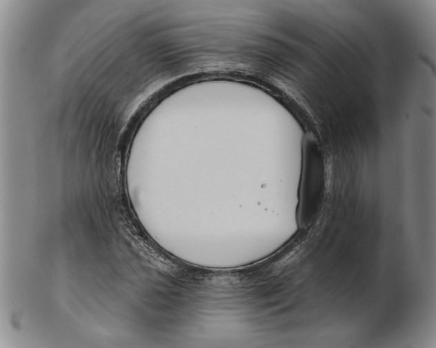 X0000102351021200808221649