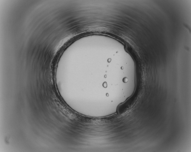 X0000102351022200808221649