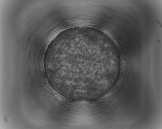 X0000102351023200808221649