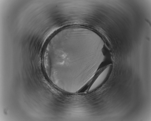 X0000102351024200808221649