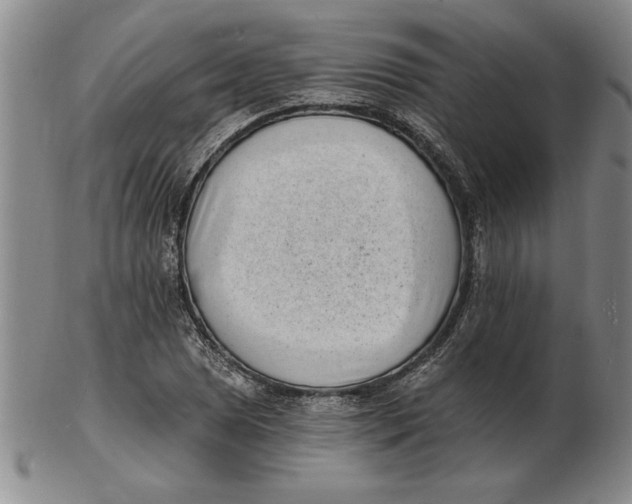 X0000102351025200808221649