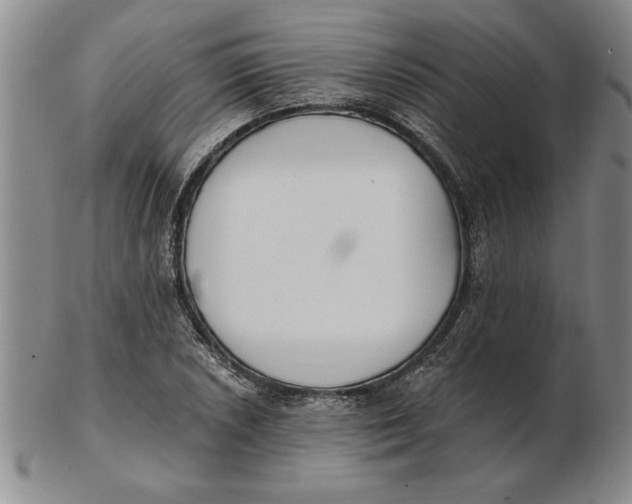 X0000102351026200808221649