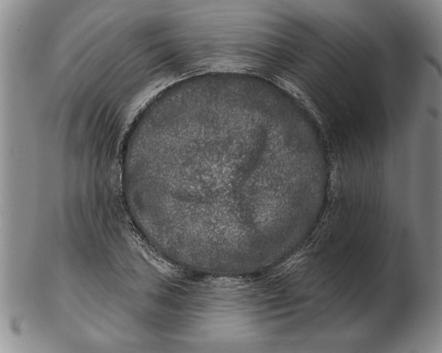 X0000102351027200808221649