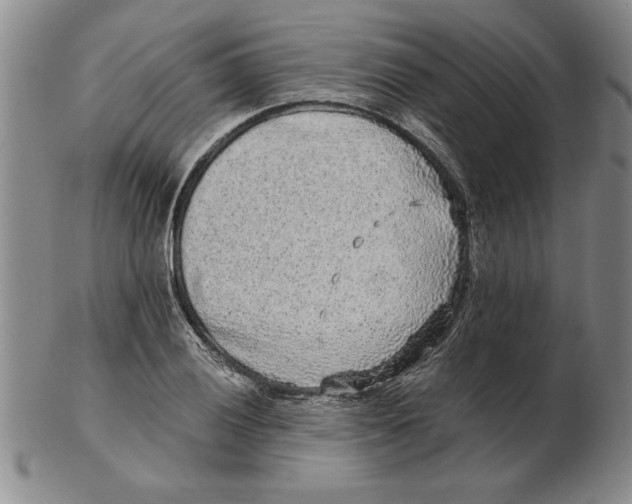 X0000102351028200808221649