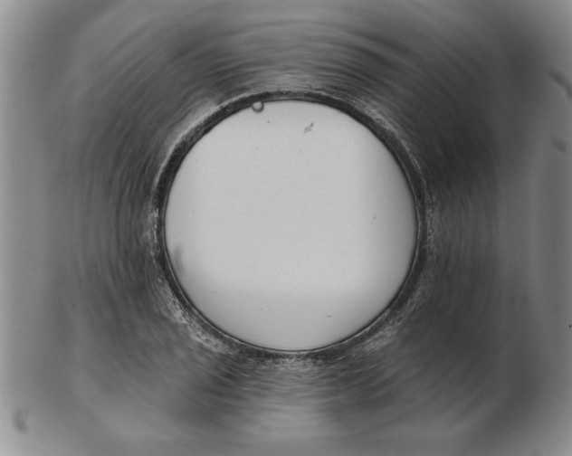 X0000102351029200808221649