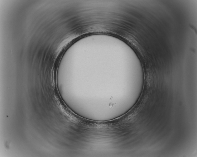 X0000102351030200808221649