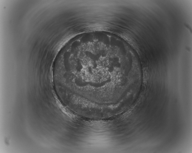 X0000102351031200808221649