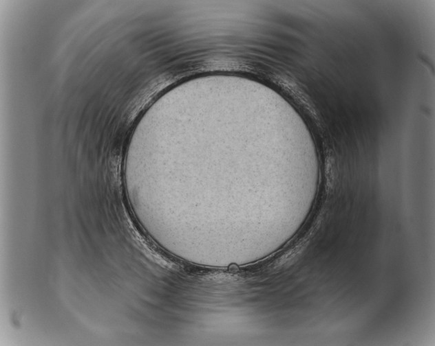 X0000102351033200808221649