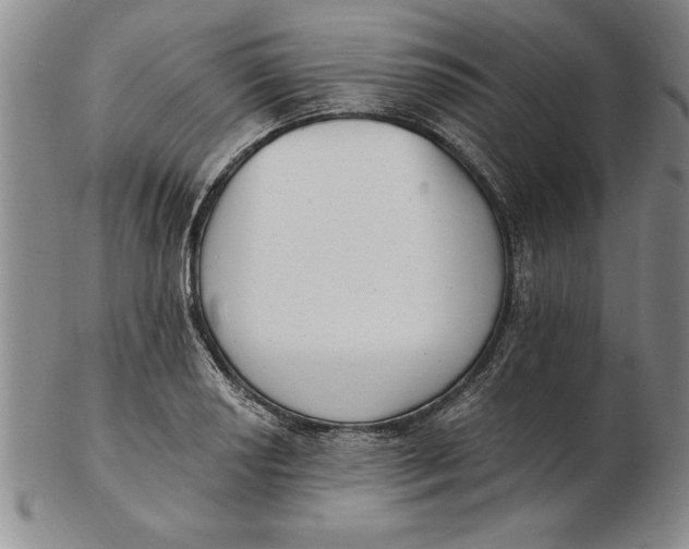 X0000102351034200808221649