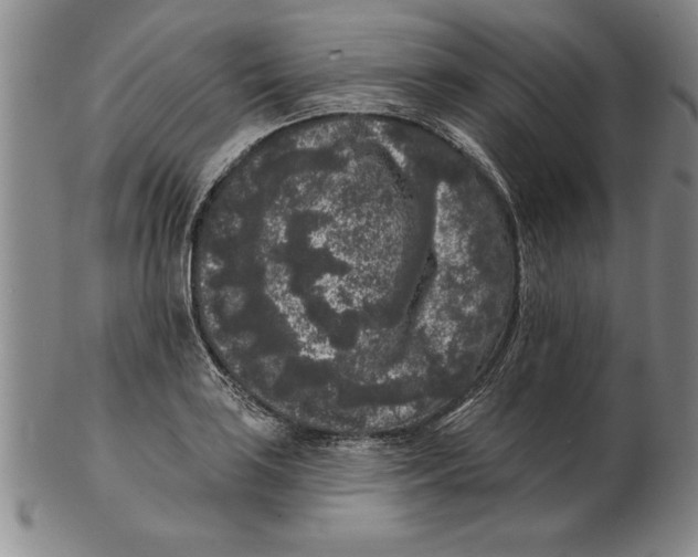 X0000102351035200808221649