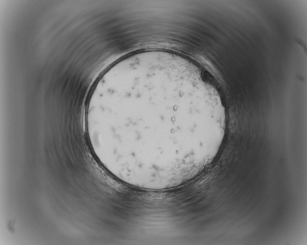 X0000102351036200808221649