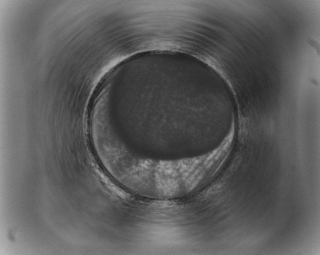 X0000102351037200808221649