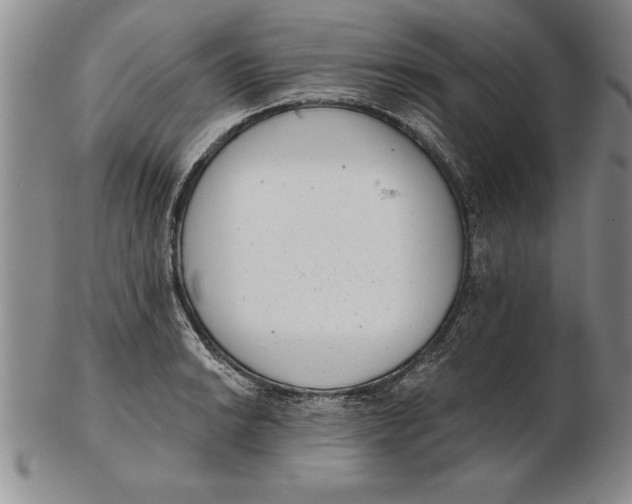 X0000102351038200808221649