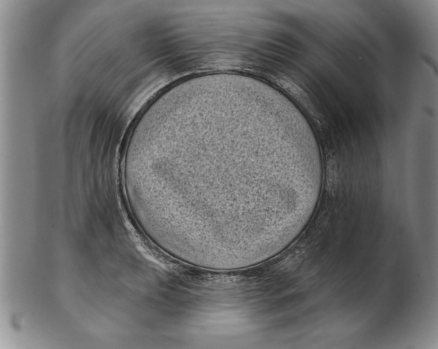 X0000102351039200808221649