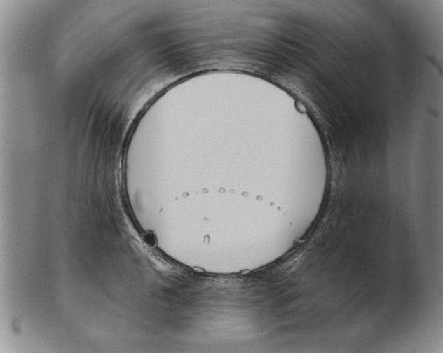 X0000102351040200808221649