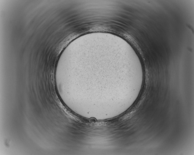 X0000102351041200808221649