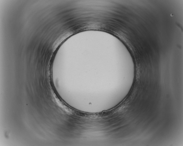 X0000102351042200808221649