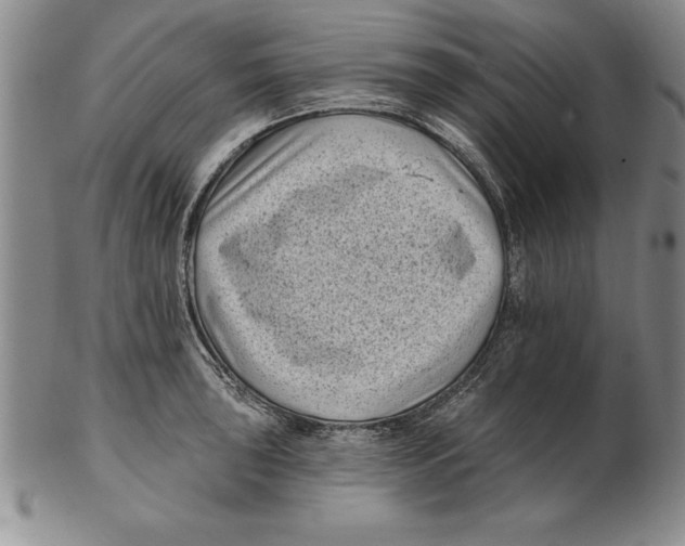 X0000102351043200808221649