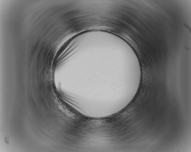 X0000102351044200808221649