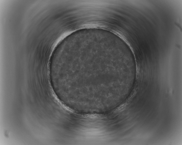 X0000102351045200808221649