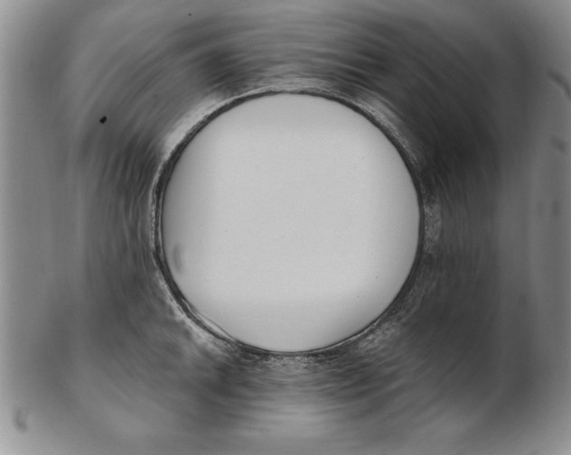 X0000102351046200808221649