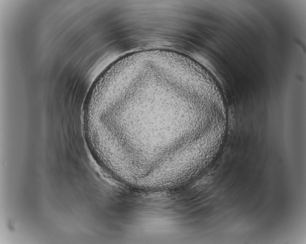 X0000102351047200808221649