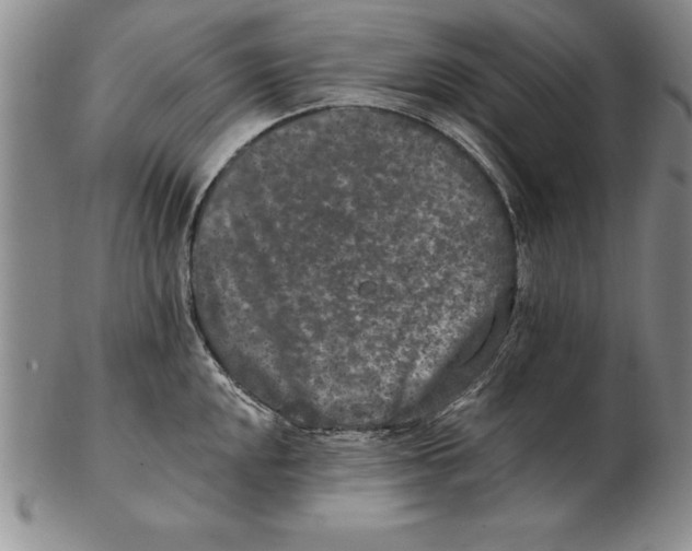 X0000102351048200808221649