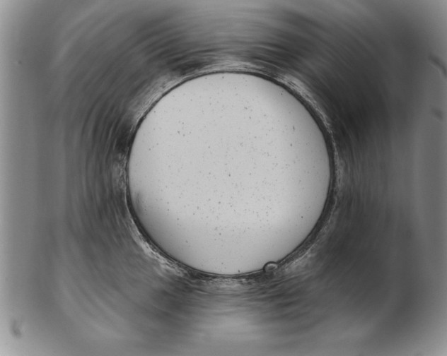 X0000102351049200808221649