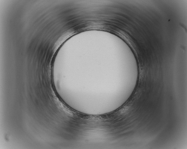 X0000102351050200808221649