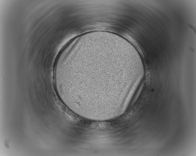 X0000102351051200808221649